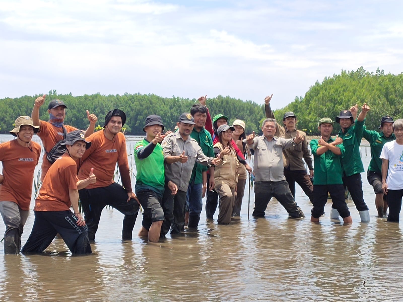 Kadishut Beserta Jajaran Menanam Mangrove dalam Rangka HUT Sulbar